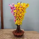 WhatsApp Image 2024-12-10 at 10.43.30 PM (1).webp