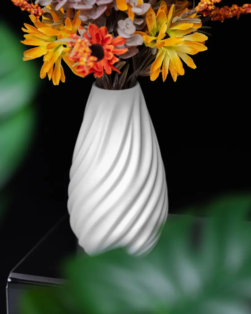 DSC09010.webp