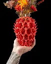DSC00029.webp