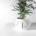 untitled.webp