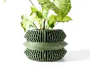 dsc02961-2.webp