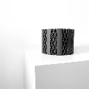 misprint-9525.webp