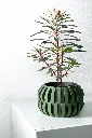 misprint-9271.webp