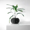 misprint-0888.webp