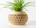dsc04662-2.webp