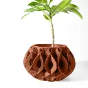 112-brown 1.webp
