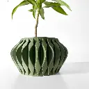img_3194.webp