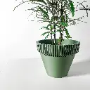 untitled-2499.webp