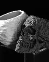 DSC01096-1.webp