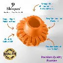 619-orange 3.webp