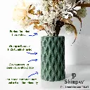 605-z3.webp