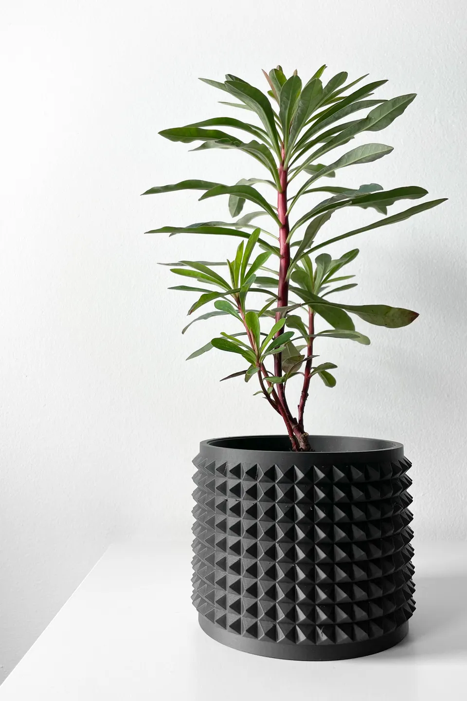 The Anver Planter Pot with Drainage Tray | Modern & Unique Home Decor- 0038