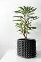 The Anver Planter Pot with Drainage Tray | Modern & Unique Home Decor- 0038