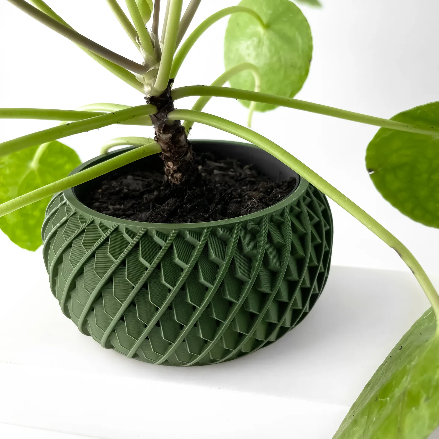 The Evlar Planter Pot with Drainage Tray | Modern & Unique Home Decor- 0053