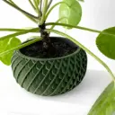 The Evlar Planter Pot with Drainage Tray | Modern & Unique Home Decor- 0053