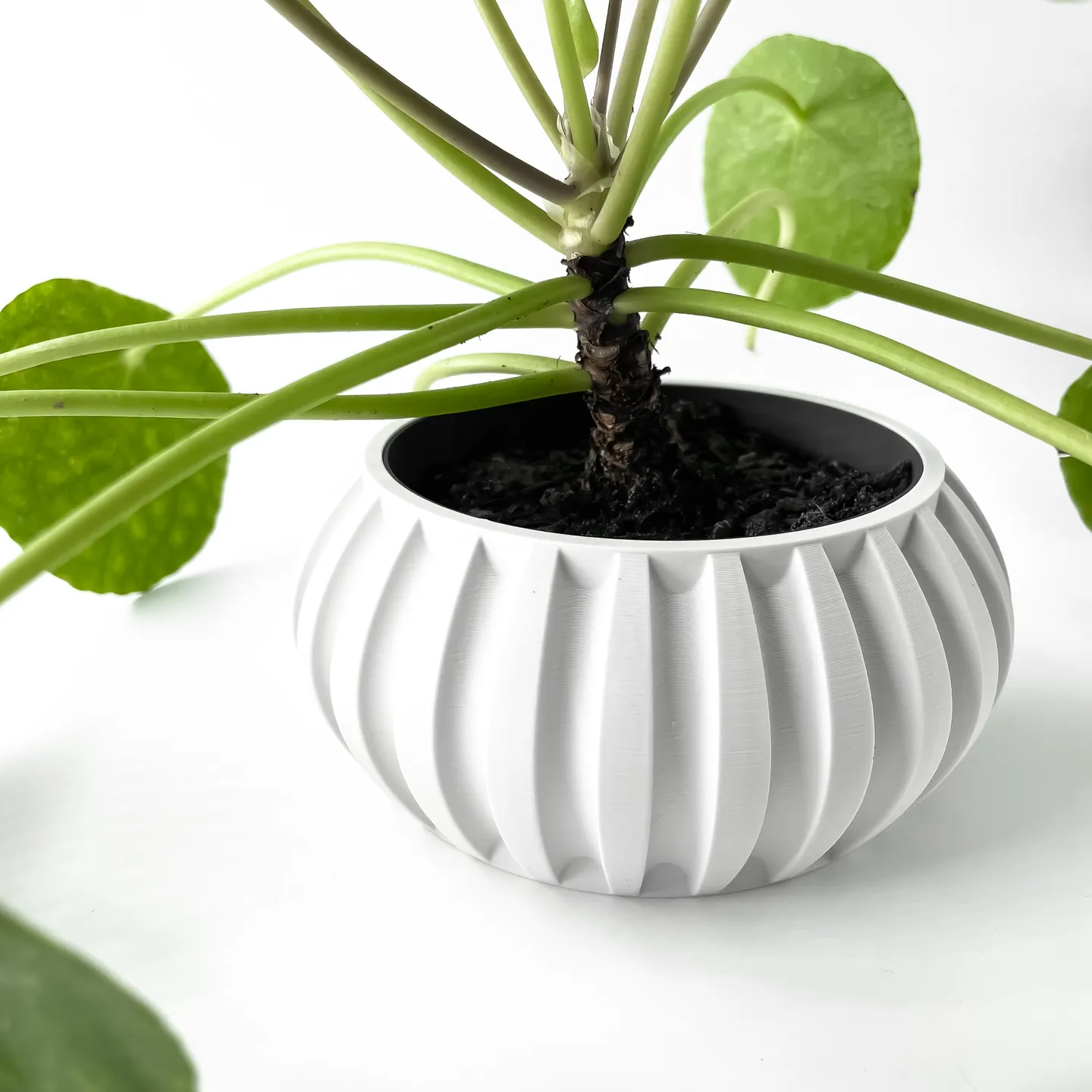 The Alden Planter Pot with Drainage Tray | Modern & Unique Home Decor- 0055 (Army Green, 3" Opening)