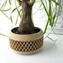 The Uvix Planter Pot with Drainage Tray | Modern & Unique Home Decor- 0057