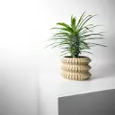 The Sivat Planter Pot with Drainage Tray | Modern & Unique Home Decor- 0058