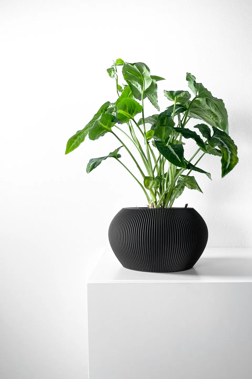 The Melfi Planter Pot with Drainage Tray | Modern & Unique Home Decor- 0061