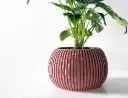 The Surno Planter Pot with Drainage Tray | Modern & Unique Home Decor- 0062