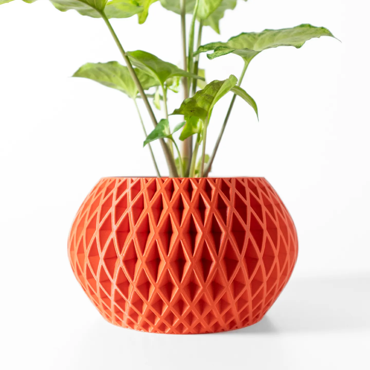 The Gisar Planter Pot with Drainage Tray | Modern & Unique Home Decor- 0067