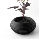 The Frons Planter Pot with Drainage Tray | Modern & Unique Home Decor- 0088