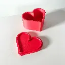 The Heart Storage Container - 5203