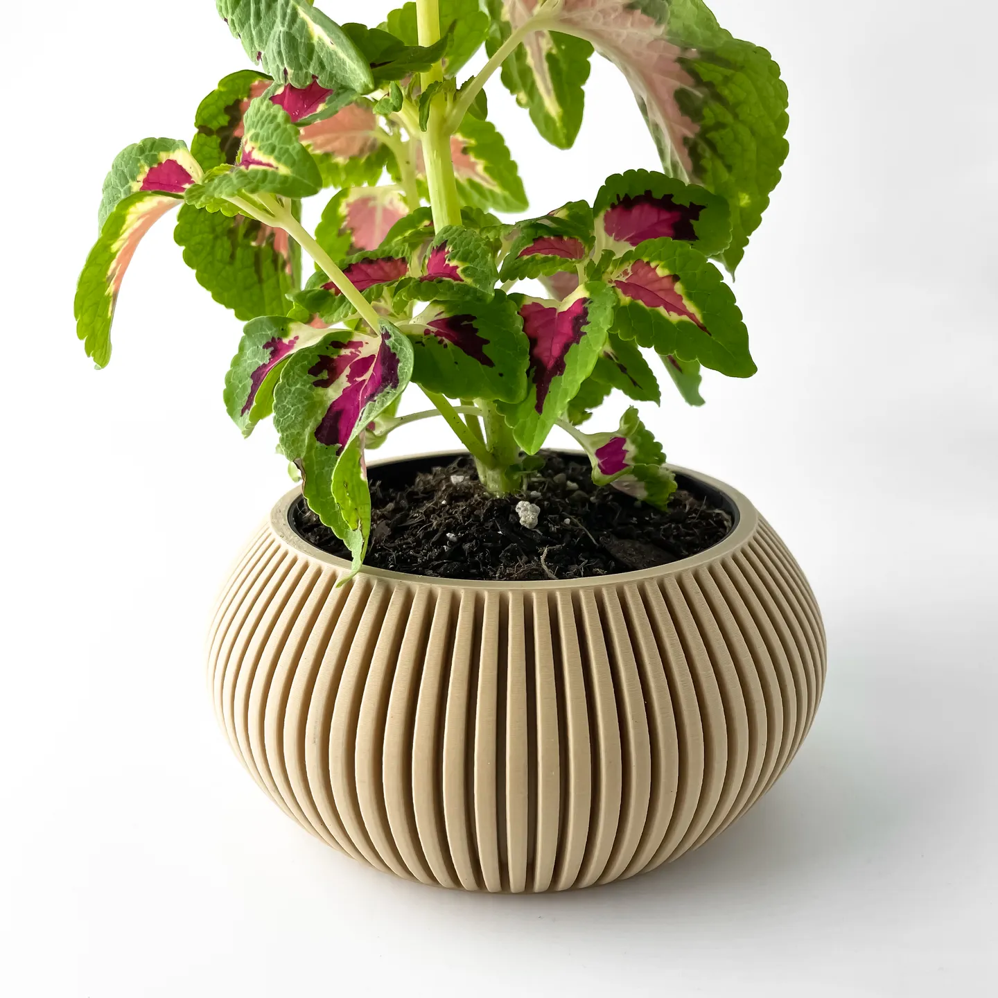 The Torme Planter Pot with Drainage Tray | Modern & Unique Home Decor- 0091