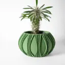 The Ryne Planter Pot with Drainage Tray | Modern & Unique Home Decor- 0098