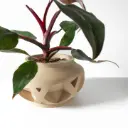 The Nomio Planter Pot with Drainage Tray | Modern & Unique Home Decor- 0099