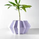 The Jun Planter Pot with Drainage Tray | Modern & Unique Home Decor- 0114
