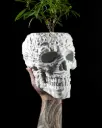 The Skull Planter Pot with Drainage Tray | Modern & Unique Home Decor- 0140