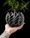 The Twisted Planter Pot with Drainage Tray | Modern & Unique Home Decor- 0143