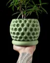 The Starry Planter Pot with Drainage Tray | Modern & Unique Home Decor- 0144