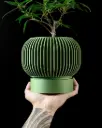 The Yuso Planter Pot with Drainage Tray | Modern & Unique Home Decor- 0145