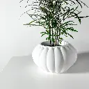 The Bunos Planter Pot with Drainage Tray | Modern & Unique Home Decor - 0007