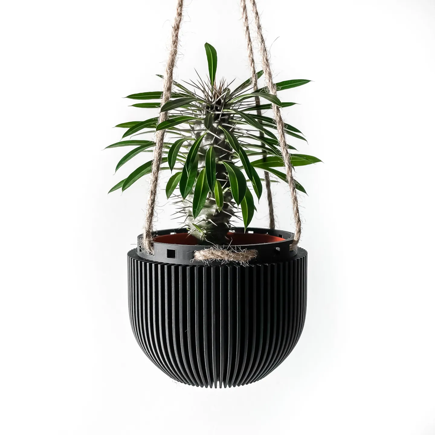 The Jani Hanging Planter Pot - 2501