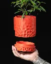 The Voronoi Wall Hanging Planter Pot with Drainage Tray | Modern & Unique Home Decor - 2503